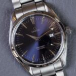 Omega Seamaster Aqua Terra Referencia 2517.8000 39 mm